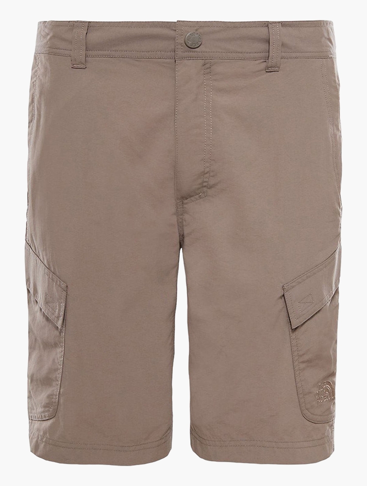 North face online horizon cargo shorts